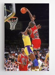 Seinapilt Michael Jordan Slam Dunk hind ja info | Seinapildid | kaup24.ee