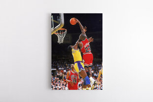 Seinapilt Michael Jordan Slam Dunk цена и информация | Картины, живопись | kaup24.ee