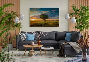 Seinapilt Romantiline päikeseloojang puudega põldudel цена и информация | Картины, живопись | kaup24.ee