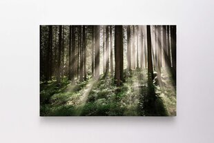 100x150см Впечатляющий восход солнца в лесу цена и информация | Настенные деревянные декорации | kaup24.ee