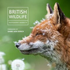 British Wildlife Photography Awards 2023 цена и информация | Книги по фотографии | kaup24.ee