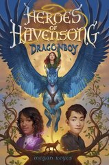 Heroes of Havensong: Dragonboy hind ja info | Noortekirjandus | kaup24.ee