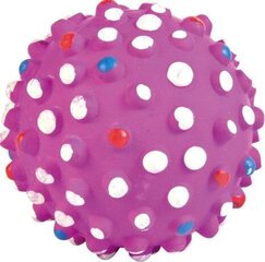 Мяч с шипами для собак Trixie, 7 см цена и информация | Игрушки для собак | kaup24.ee