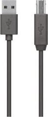 Belkin, USB-A/USB-B, 1.8 м цена и информация | Кабели и провода | kaup24.ee