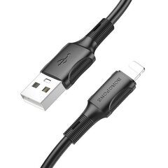 Borofone Cable BX80 Succeed - USB to Lightning - 2,4A 1 metre black цена и информация | Кабели для телефонов | kaup24.ee