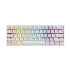 Клавиатура SAVIO Mechanical Keyboard Whiteout Brown (Оутему Браун), белая цена и информация | Клавиатуры | kaup24.ee