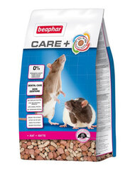 Beaphar Care+ dekoratiivsetele rottidele, 250 g цена и информация | Корм для грызунов | kaup24.ee