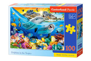 Pusle Castorland Dolphins in the Tropics, 100 tk hind ja info | Pusled | kaup24.ee