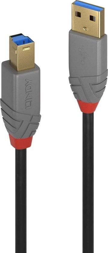 Lindy USB-A/USB-B, 5 m цена и информация | Kaablid ja juhtmed | kaup24.ee