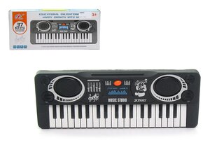 Детское электронное пианино Jin цена и информация | Развивающие игрушки | kaup24.ee