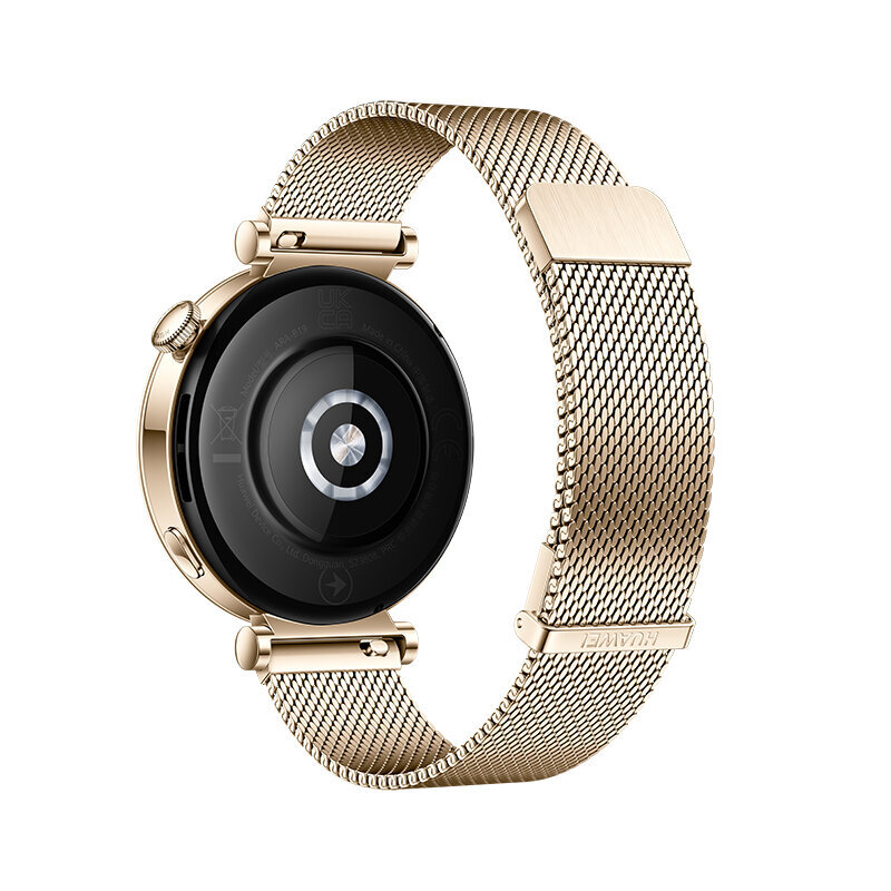 Huawei Watch GT 4 Light Gold Milanese hind ja info | Nutikellad (smartwatch) | kaup24.ee