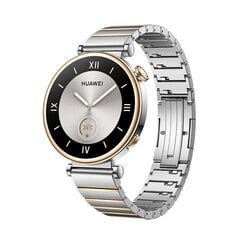 Huawei Watch GT 4 Silver Stainless Steel цена и информация | Смарт-часы (smartwatch) | kaup24.ee