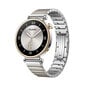 Huawei Watch GT 4 41mm Stainless Steel 55020BHY цена и информация | Nutikellad (smartwatch) | kaup24.ee