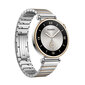 Huawei Watch GT 4 41mm Stainless Steel 55020BHY цена и информация | Nutikellad (smartwatch) | kaup24.ee