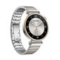 Huawei Watch GT 4 Silver Stainless Steel hind ja info | Nutikellad (smartwatch) | kaup24.ee