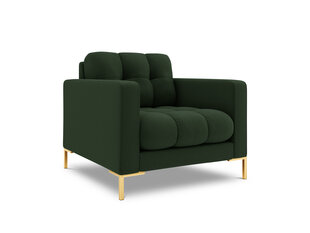 Кресло Bali, 87x92x75 см, темно-зеленый/золотой цвет цена и информация | Кресла в гостиную | kaup24.ee