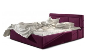 Кровать Belluno, 200x200 см, фиолетовый цвет цена и информация | Кровати | kaup24.ee