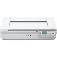 Epson RJ-45 hind ja info | Skännerid | kaup24.ee