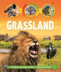 Life Cycles: Grassland цена и информация | Книги для подростков и молодежи | kaup24.ee