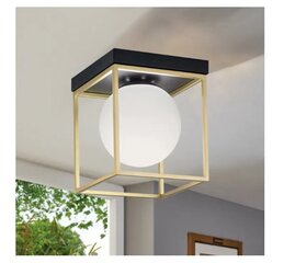 Tööriistavalgusti laelamp Plafond APP1166-1C цена и информация | Потолочный светильник, 38 x 38 x 24 см | kaup24.ee