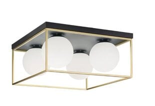 Tööriistavalgusti laelamp Plafond APP1168-4C цена и информация | Потолочный светильник, 38 x 38 x 24 см | kaup24.ee