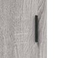 vidaXL puhvetkapp, hall Sonoma tamm, 100 x 36 x 60 cm, tehispuit hind ja info | Elutoa väikesed kapid | kaup24.ee