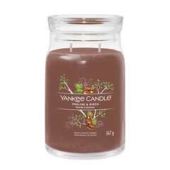 Lõhnaküünal Yankee Candle Praline & Birch 567 g цена и информация | Подсвечники, свечи | kaup24.ee