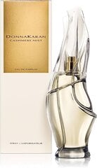 Parfüümvesi Donna Karan Cashmere Mist EDP naistele, 100 ml hind ja info | Donna Karan Kosmeetika, parfüümid | kaup24.ee