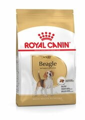 ROYAL CANIN Beagle adult, 12 кг цена и информация | Сухой корм для собак | kaup24.ee