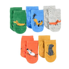 Носки Cool Club для мальчика CHB2500822-00, разные цвета, 5 штук цена и информация | Носки, колготки для мальчиков | kaup24.ee