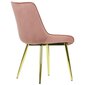 Söögitool HTS-6020 roosa/kuldne raam hind ja info | Söögilaua toolid, köögitoolid | kaup24.ee