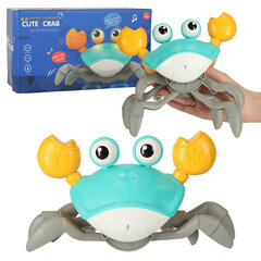 Interaktiivne roomav krabi koos helidega hind ja info | Poiste mänguasjad | kaup24.ee