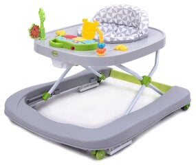 Käimistool 4Baby Walk'n Push, hall цена и информация | Ходунки | kaup24.ee