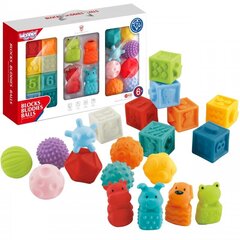 Woopie Sensory Decks 20 эл. цена и информация | Развивающие игрушки и игры | kaup24.ee
