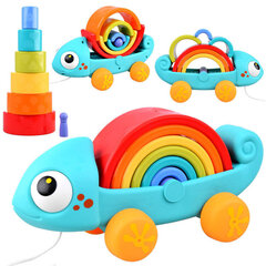 Montessori puzzle, vikerkaarekameleon цена и информация | Развивающие игрушки | kaup24.ee