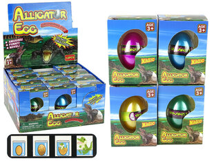 Kasvav krokodilli alligaatori muna, 6 cm hind ja info | Arendavad mänguasjad | kaup24.ee