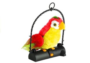 Sõnu taasesitav mänguasi - papagoi, punane цена и информация | Мягкие игрушки | kaup24.ee