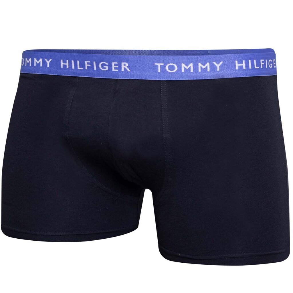 Meeste lühikesed püksid Tommy Hilfiger 52670, must цена и информация | Meeste aluspesu | kaup24.ee