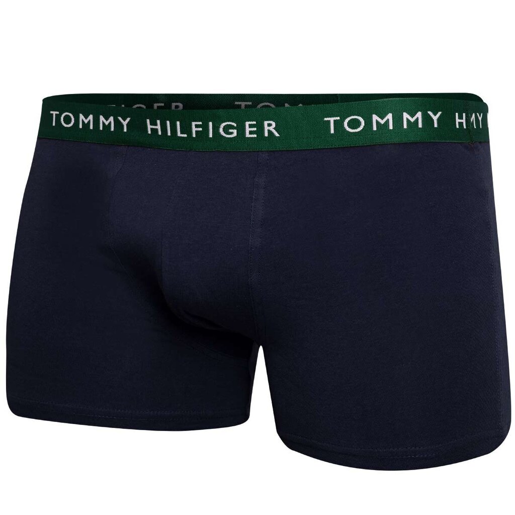 Meeste lühikesed püksid Tommy Hilfiger 52529, must цена и информация | Meeste aluspesu | kaup24.ee