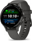 Garmin Venu® 3S Slate Stainless Steel Bezel with Pebble Gray Case and Silicone Band 41mm цена и информация | Nutikellad (smartwatch) | kaup24.ee