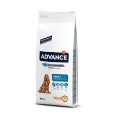 Сухой корм для взрослых собак среднего размера с курицей и рисом ADVANCE Medium Adult, 18 кг цена и информация |  Сухой корм для собак | kaup24.ee