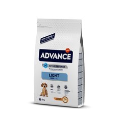 Kuivtoit väikestest tõugudest ülekaalulistele koertele ADVANCE Mini Adult Light, 3 kg цена и информация |  Сухой корм для собак | kaup24.ee