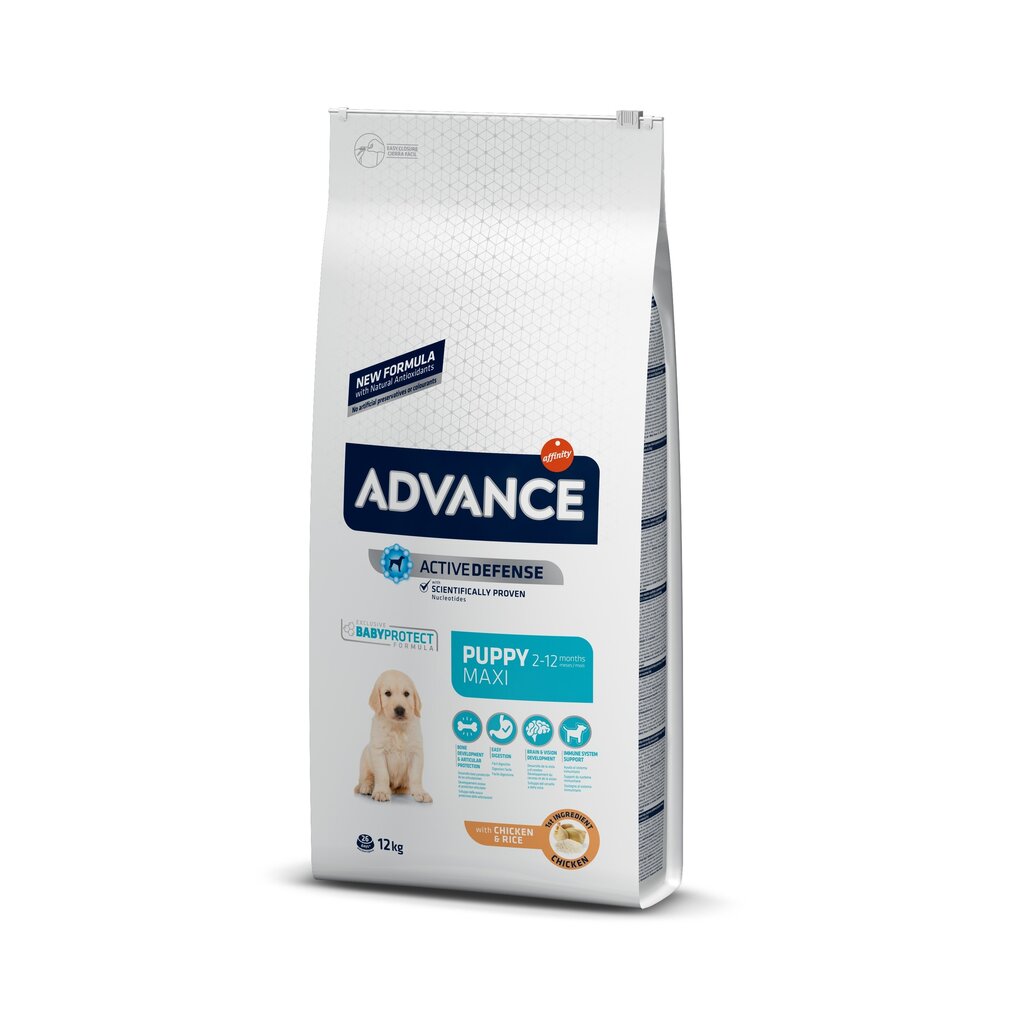 Kuivtoit suurtest tõugudest kutsikatele ADVANCE Puppy Protect Maxi, 12 kg цена и информация | Kuivtoit koertele | kaup24.ee