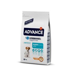 ADVANCE DOG PUPPY MINI 3,0KG - ДЛЯ ЩЕНКОВ МЕЛКИХ ПОРОД (КУРИЦА И РИС) цена и информация |  Сухой корм для собак | kaup24.ee