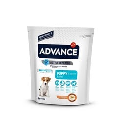 ADVANCE DOG PUPPY MINI 0.8KG - ДЛЯ ЩЕНКОВ МЕЛКИХ ПОРОД (КУРИЦА И РИС) цена и информация | Сухой корм для собак | kaup24.ee