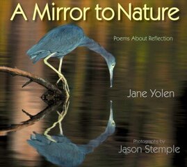 Mirror to Nature, A: Poems about Reflection цена и информация | Книги для подростков и молодежи | kaup24.ee