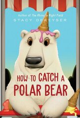 How to Catch a Polar Bear цена и информация | Книги для подростков и молодежи | kaup24.ee