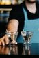 Vialli Design martiniklaaside komplekt Soho, 2-osaline hind ja info | Klaasid, tassid ja kannud | kaup24.ee
