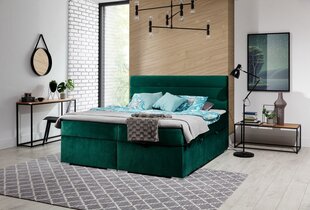 Кровать  Softy, 140х200 см, зеленый цвет цена и информация | Кровати | kaup24.ee
