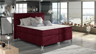 Кровать  Amadeo, 160x200 см, красный цвет цена и информация | Кровати | kaup24.ee